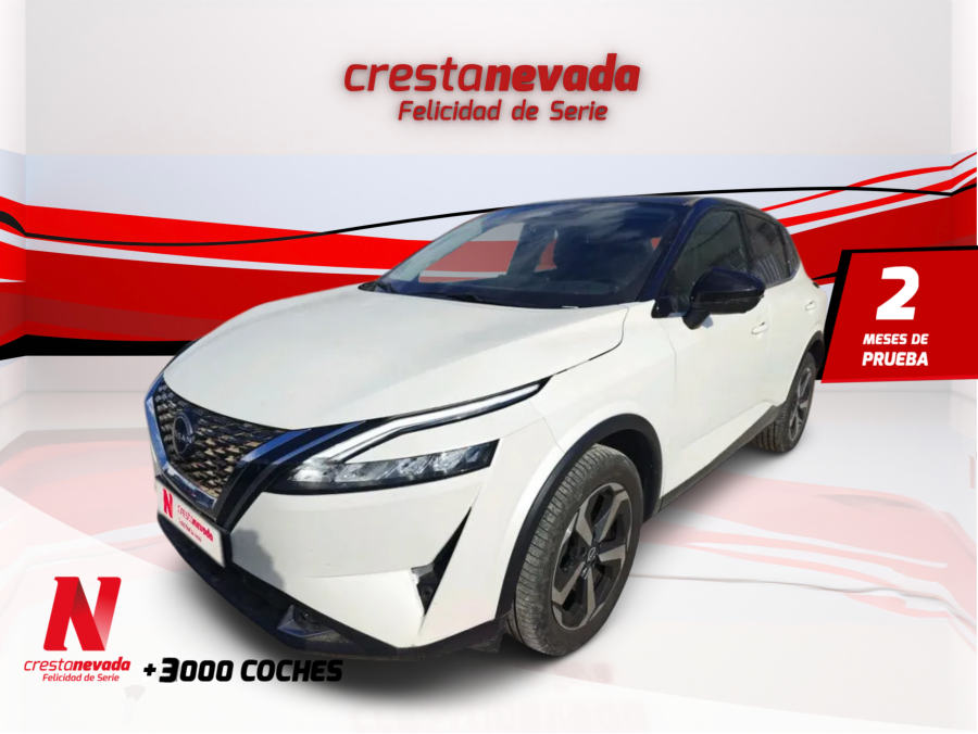 Imagen de NISSAN QASHQAI