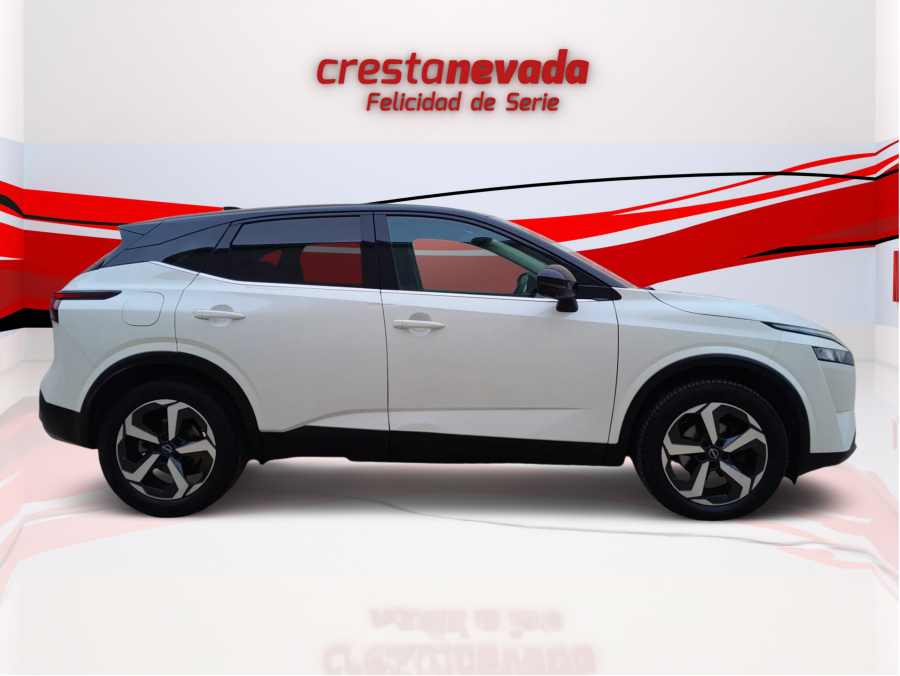 Imagen de NISSAN QASHQAI