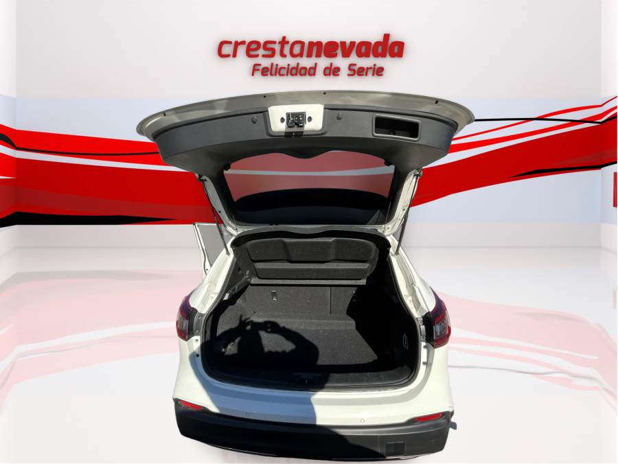 Imagen de NISSAN QASHQAI