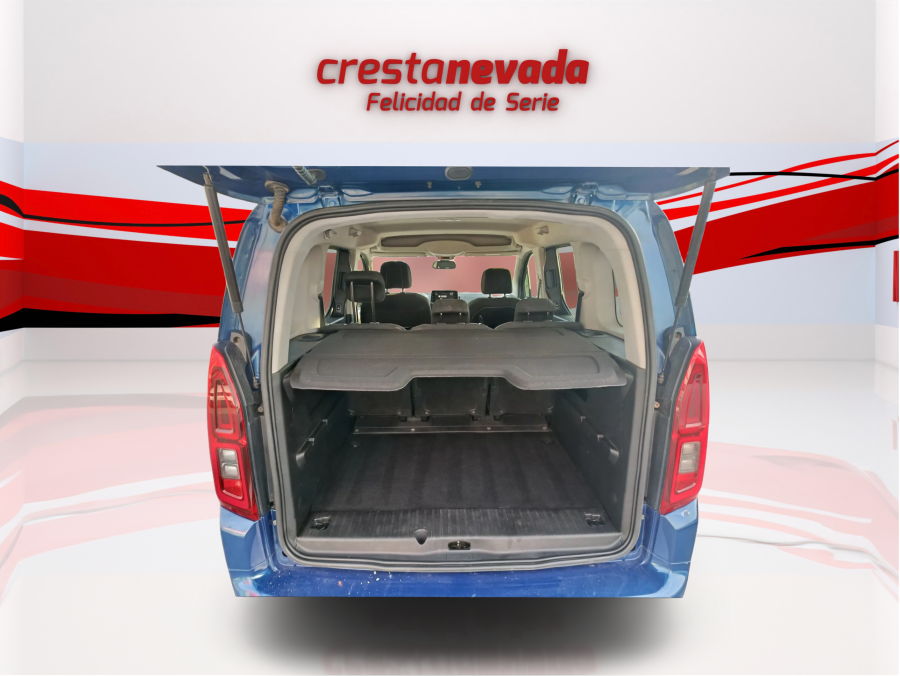 Imagen de Opel Combo Life