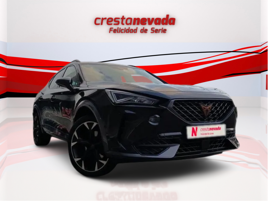 Imagen de cupra Formentor