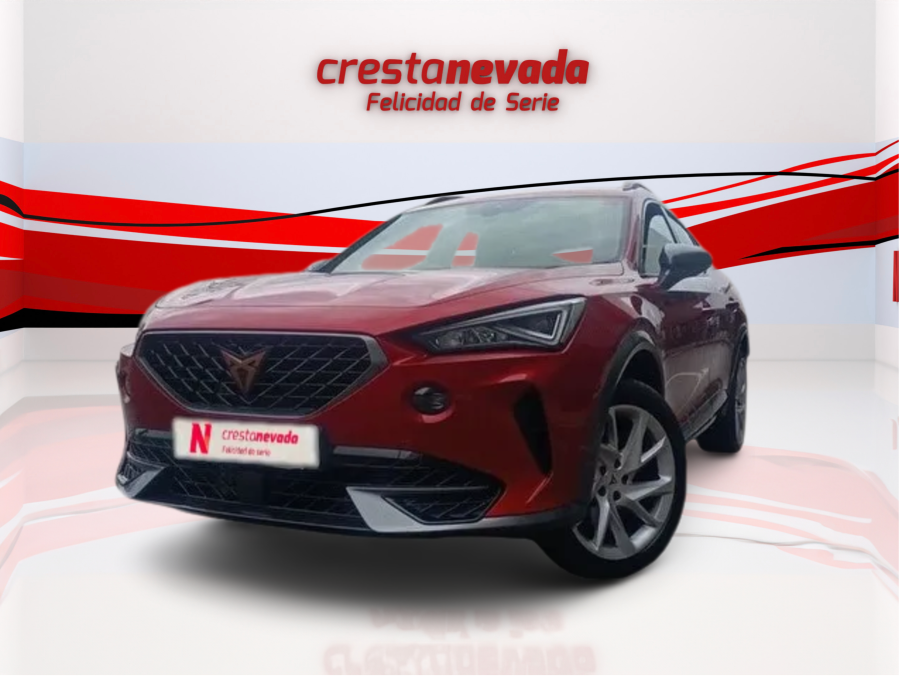 Imagen de cupra Formentor