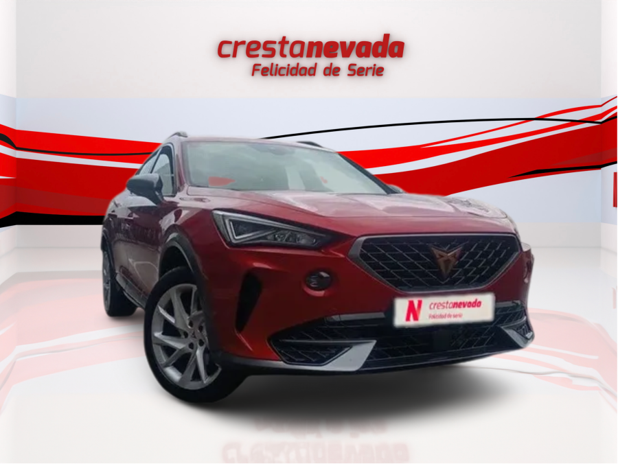 Imagen de cupra Formentor