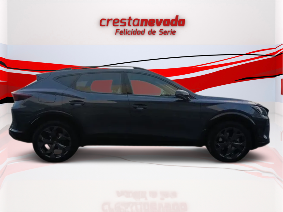 Imagen de cupra Formentor