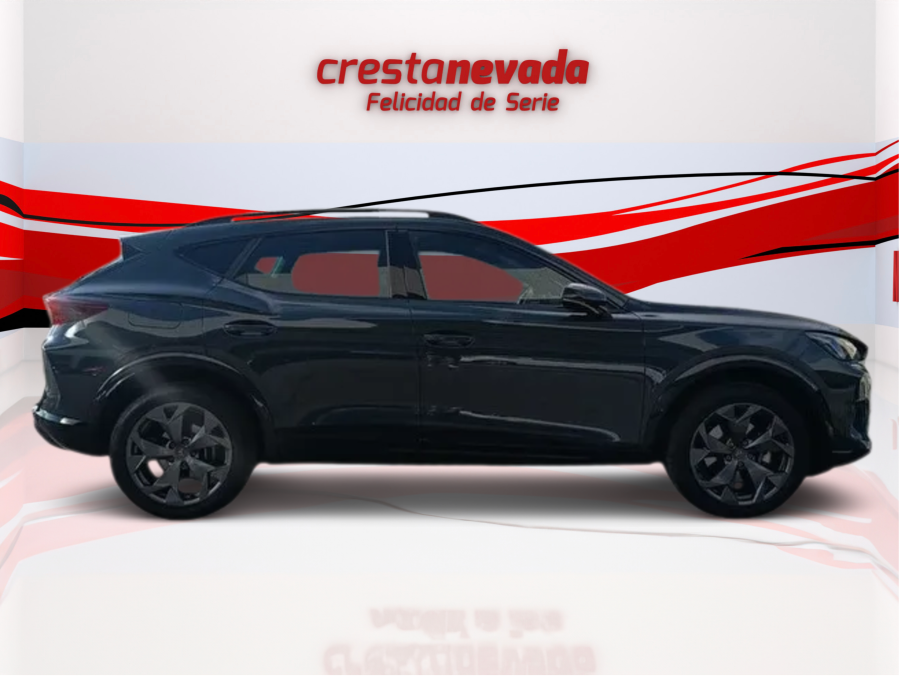 Imagen de cupra Formentor