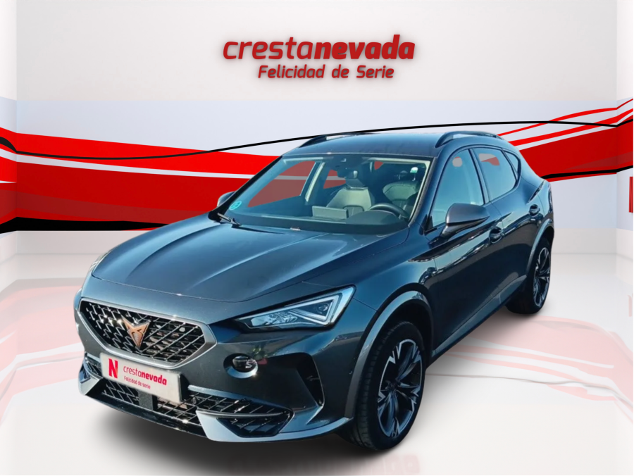 Imagen de cupra Formentor