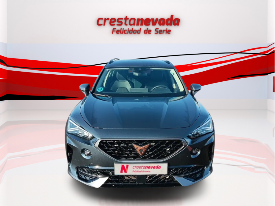 Imagen de cupra Formentor