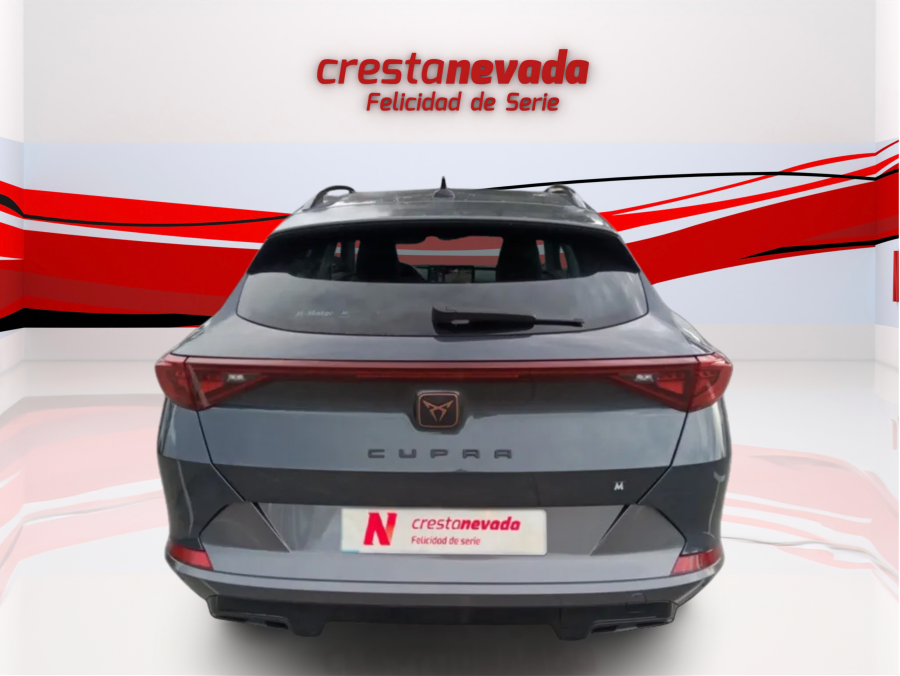 Imagen de cupra Formentor