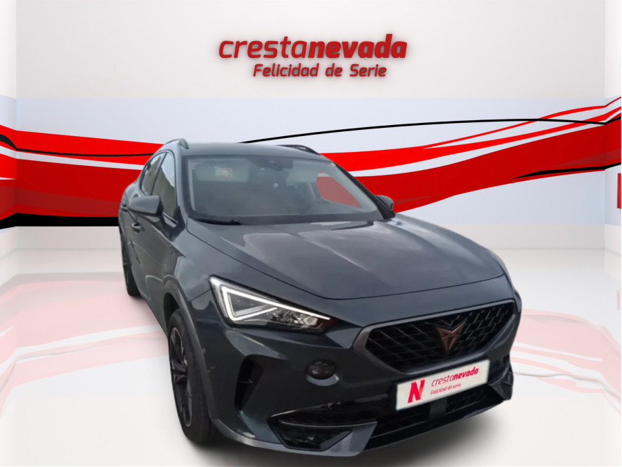 Imagen de cupra Formentor