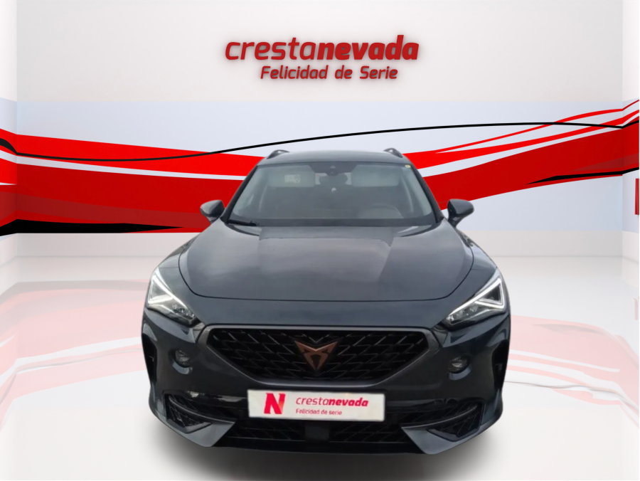 Imagen de cupra Formentor