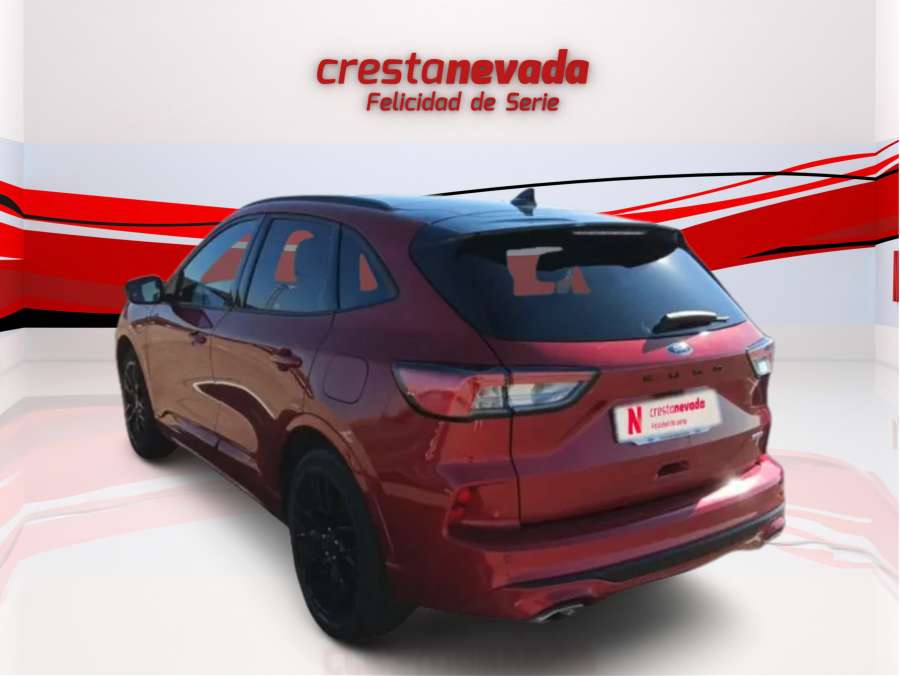 Imagen de Ford Kuga