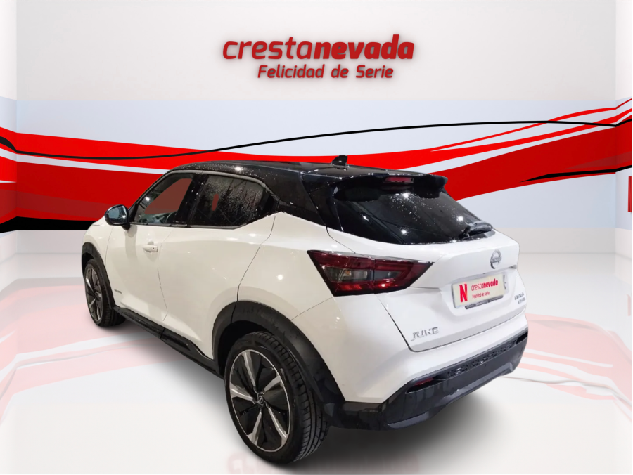 Imagen de NISSAN JUKE