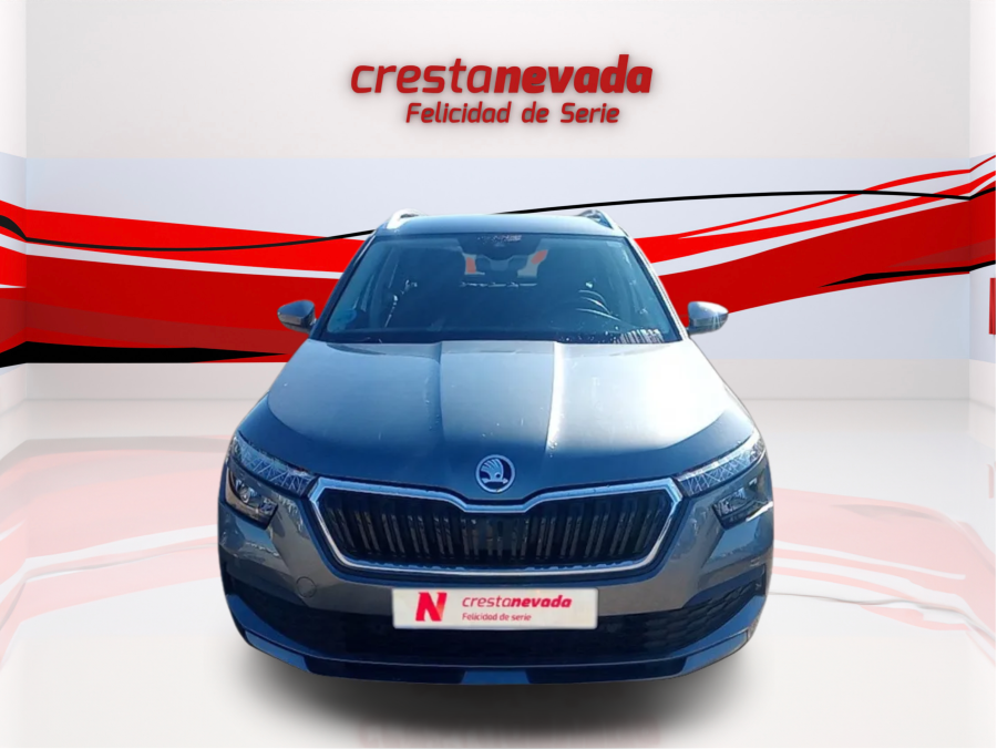 Imagen de Skoda Kamiq