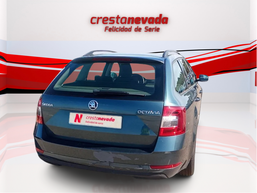 Imagen de Skoda Octavia