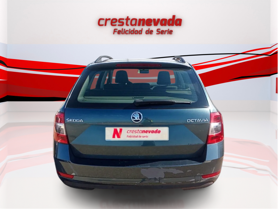 Imagen de Skoda Octavia