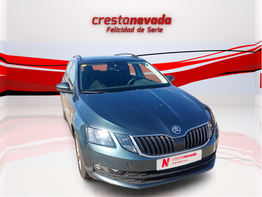 Imagen de Skoda Octavia