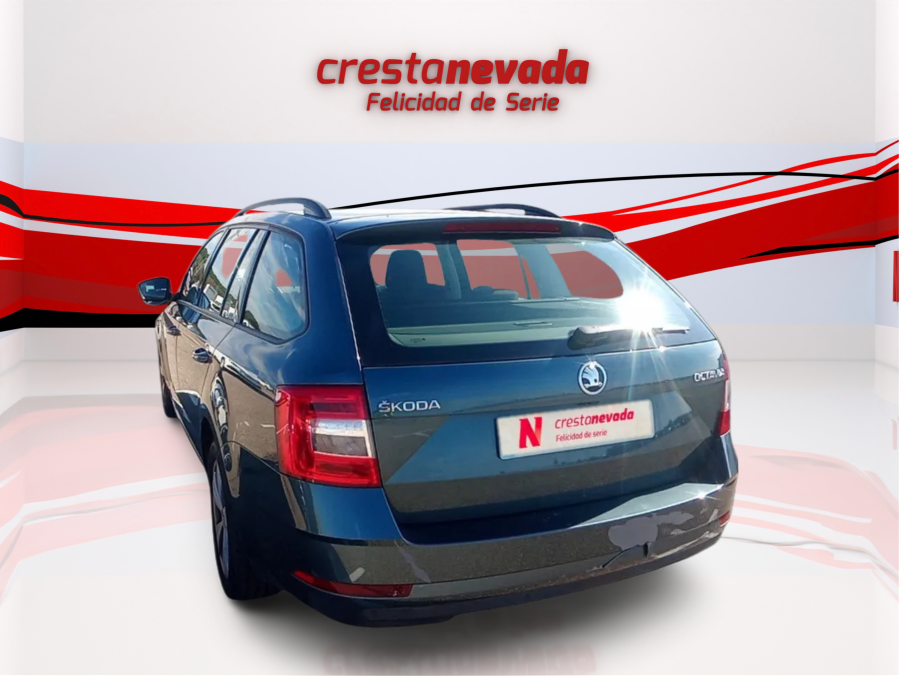 Imagen de Skoda Octavia