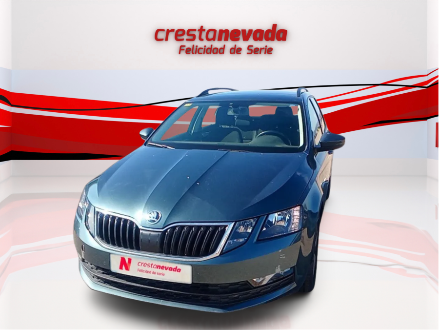 Imagen de Skoda Octavia