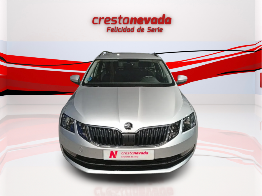 Imagen de Skoda Octavia