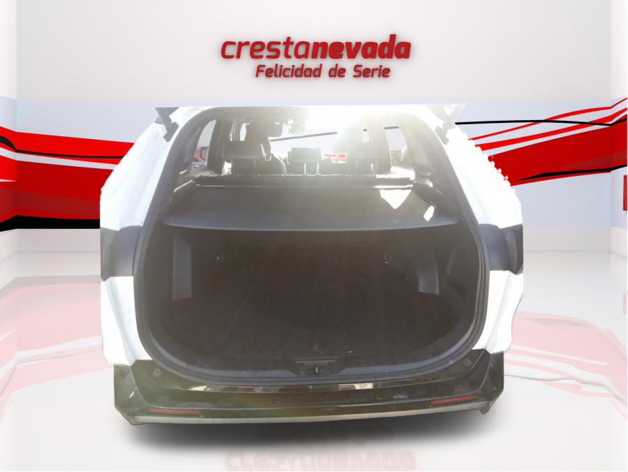 Imagen de TOYOTA Rav4