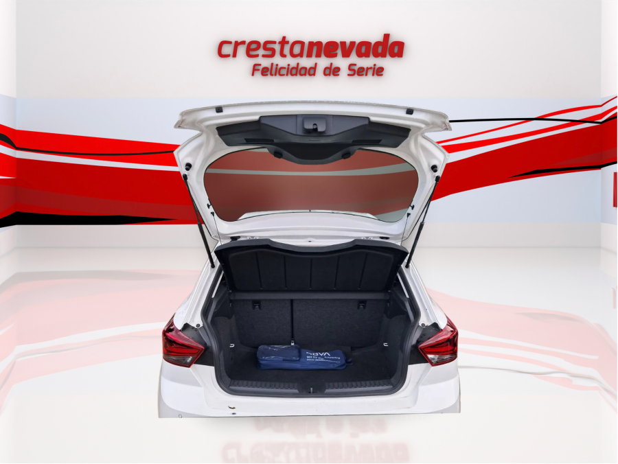 Imagen de SEAT Ibiza