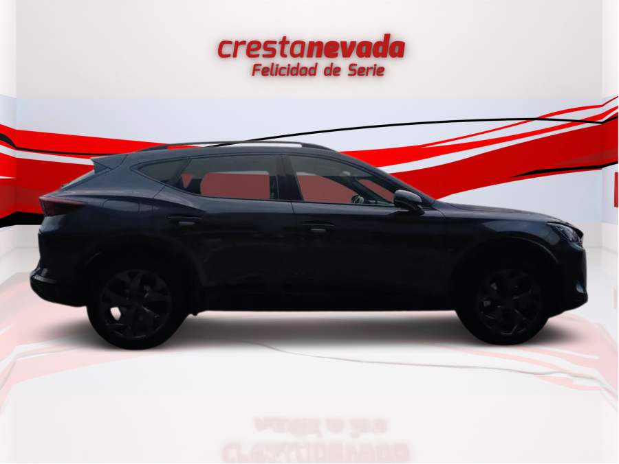 Imagen de cupra Formentor