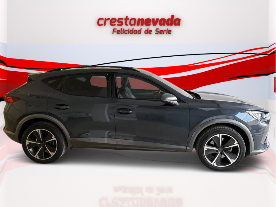 Imagen de cupra Formentor