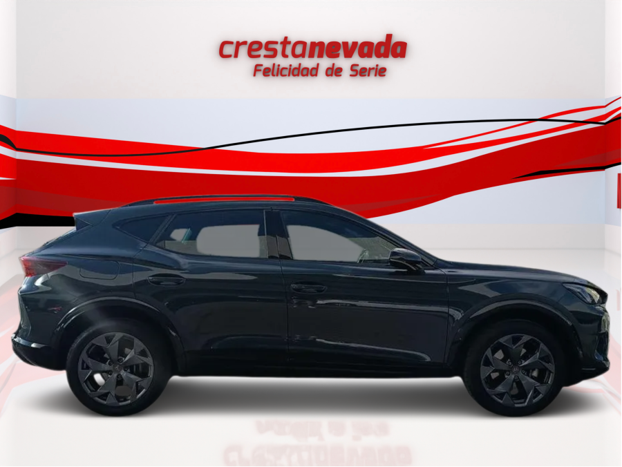 Imagen de cupra Formentor