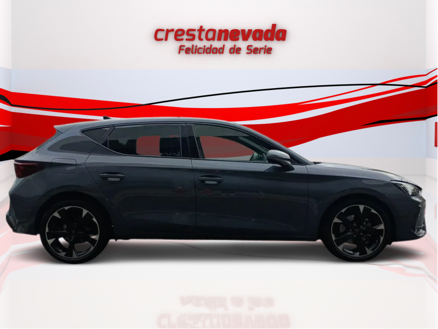 Imagen de cupra León