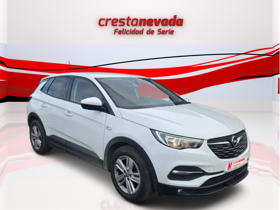 Imagen de Opel Grandland X