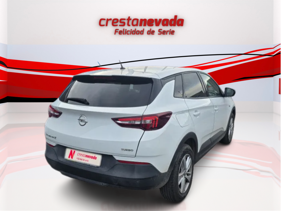 Imagen de Opel Grandland X
