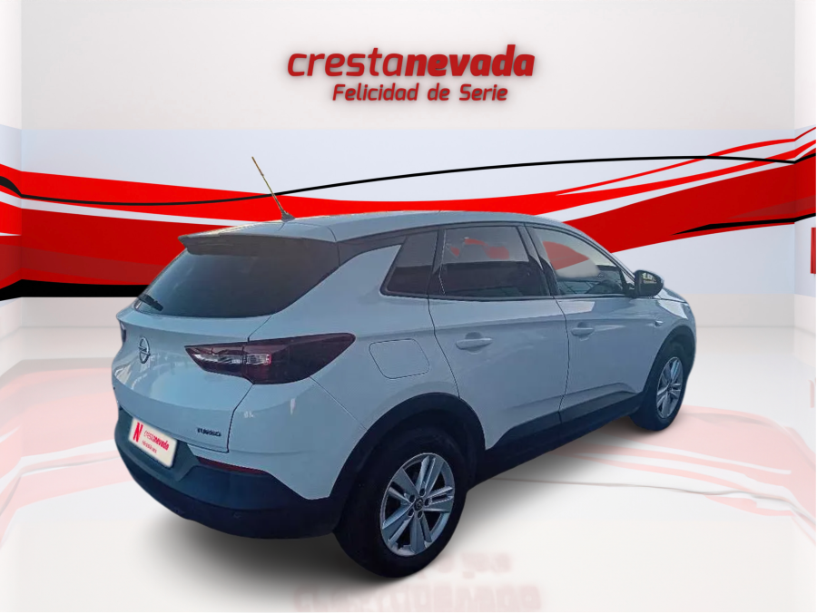 Imagen de Opel Grandland X