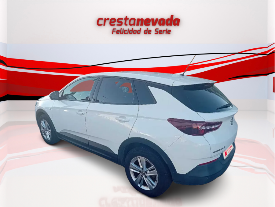 Imagen de Opel Grandland X