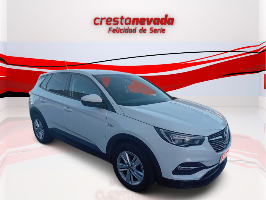 Imagen de Opel Grandland X