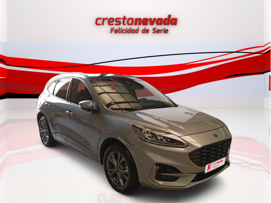 Imagen de Ford Kuga