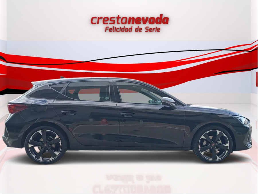 Imagen de cupra León