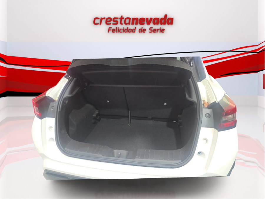 Imagen de NISSAN JUKE