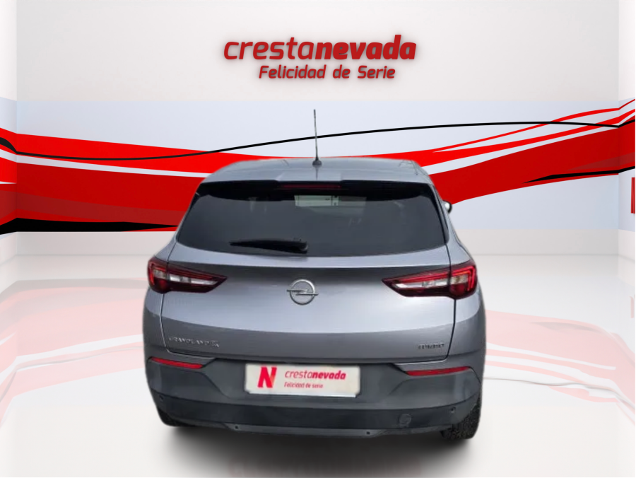 Imagen de Opel Grandland X
