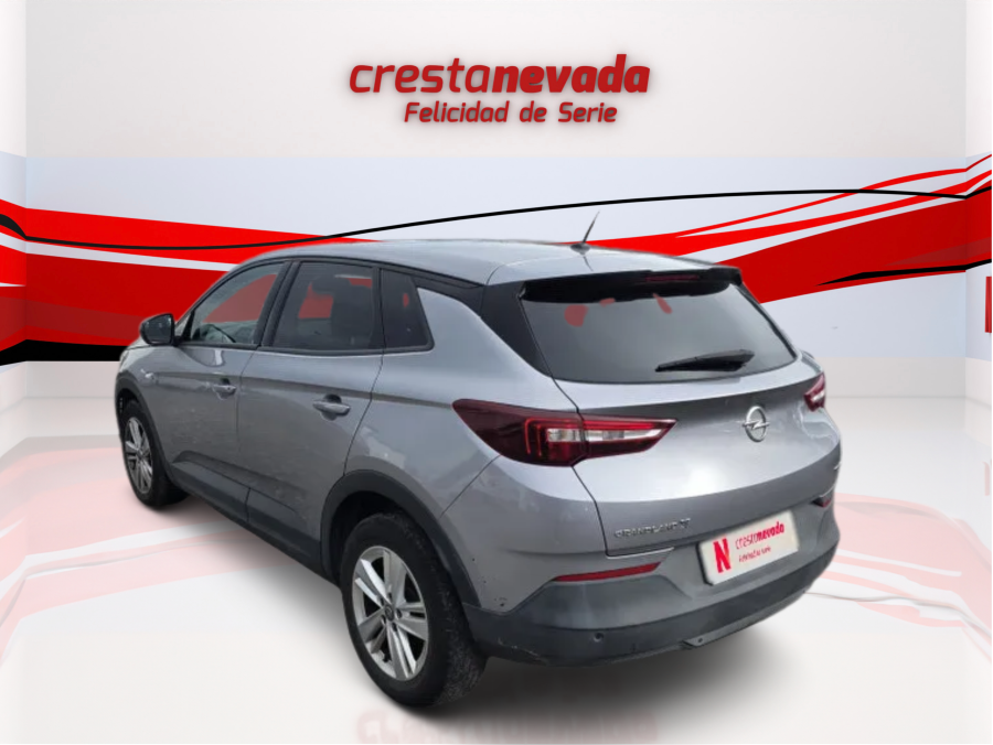 Imagen de Opel Grandland X