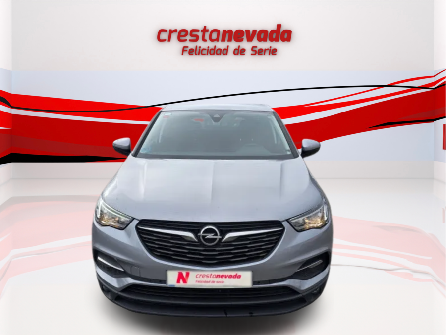 Imagen de Opel Grandland X