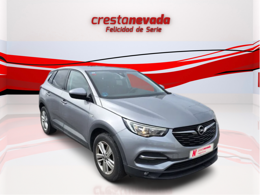 Imagen de Opel Grandland X