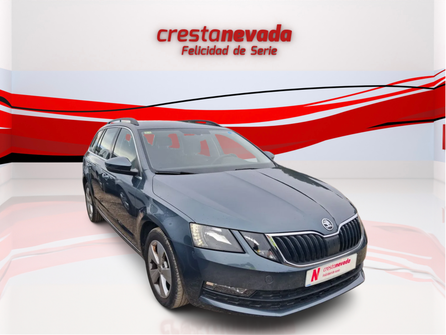 Imagen de Skoda Octavia