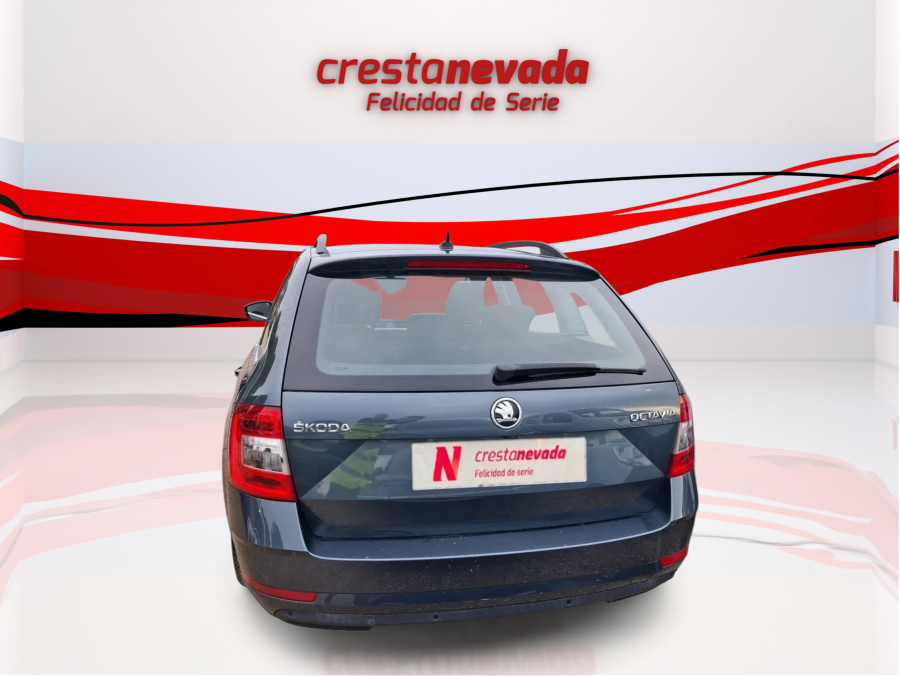 Imagen de Skoda Octavia