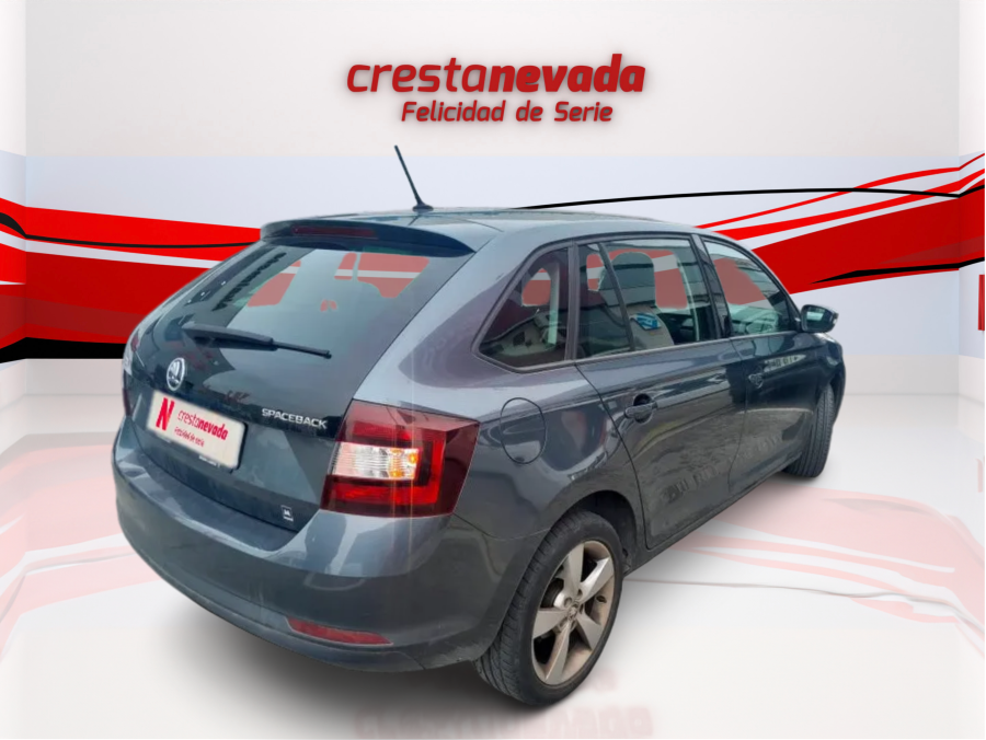 Imagen de Skoda Rapid