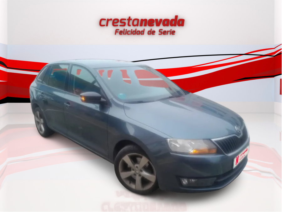 Imagen de Skoda Rapid