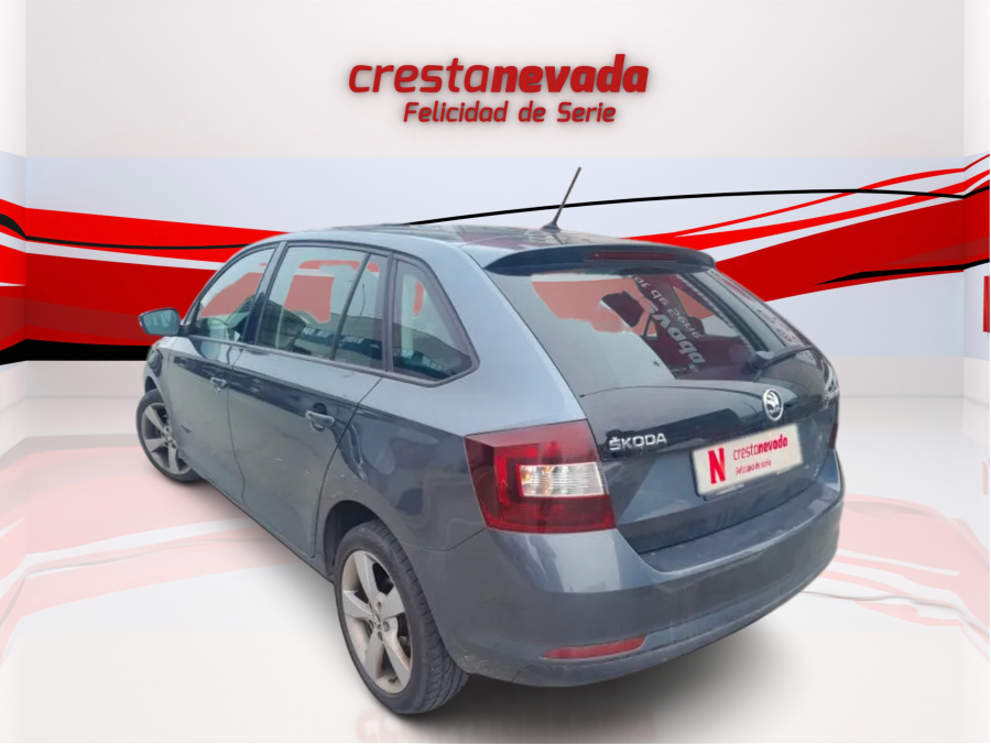 Imagen de Skoda Rapid