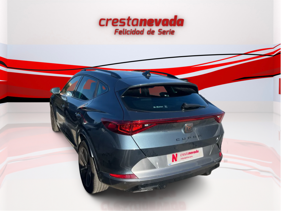 Imagen de cupra Formentor