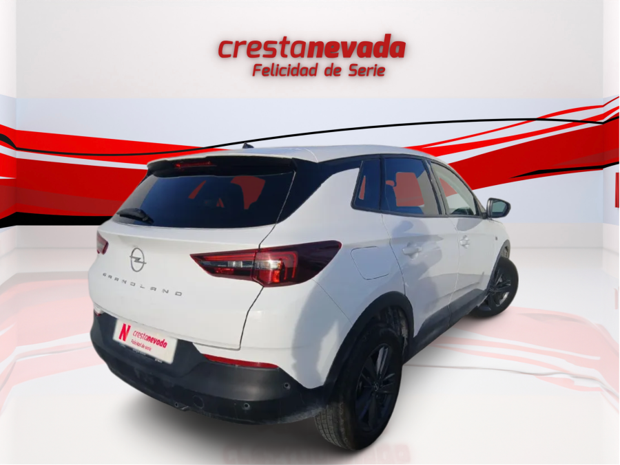 Imagen de Opel Grandland