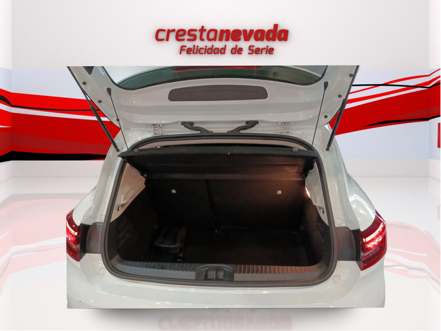 Imagen de Renault Clio