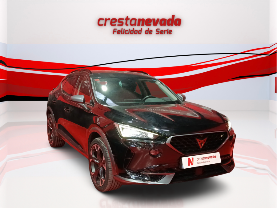 Imagen de cupra Formentor